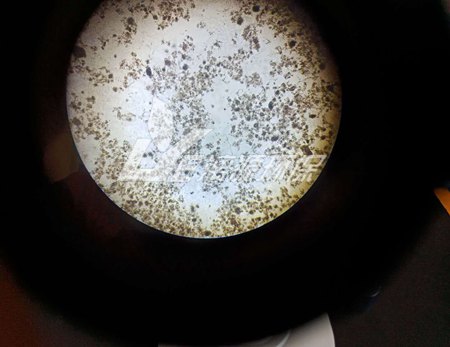 大观霉素废水处理工艺