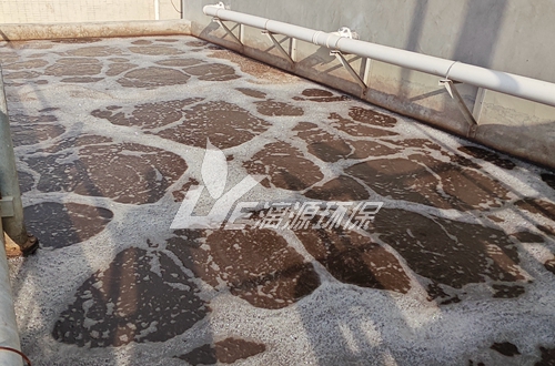 制药工厂废水水质分析