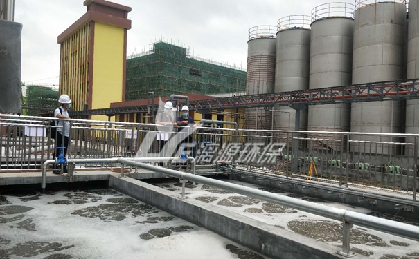 格尔德霉素生产厂废水处理方法